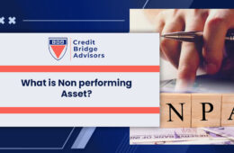 What is Nonperforming Asset