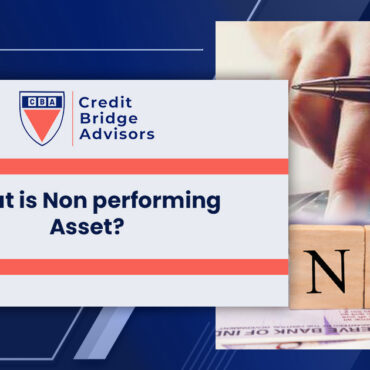 What is Nonperforming Asset